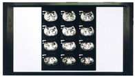 Diagnostic Laser X Ray Dry Film Medical For AGFA / Fuji Printer