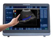 Medical 3D / 4D Color Doppler Ultrasound System Portable With 15 inch LED Monitor