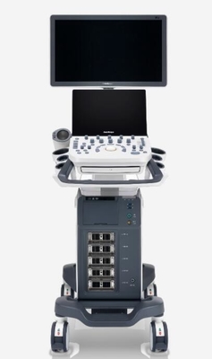 Good price P20 Digital Color Doppler Ultrasound System Built In Battery online
