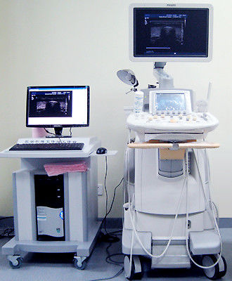 Handheld Color Doppler Ultrasound System , High-density Color Doppler