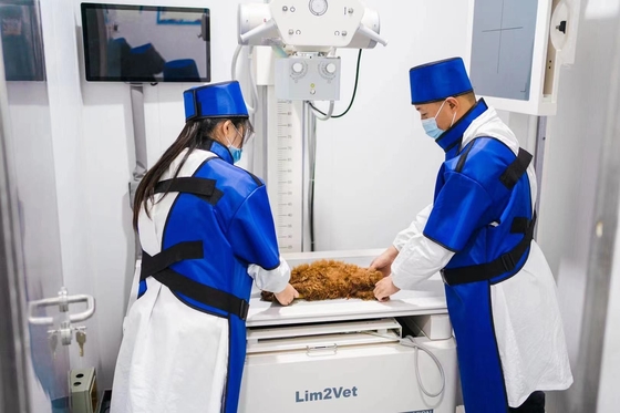 32KW Vet Medical Equipment Real Time Fluoroscopy Machine DR